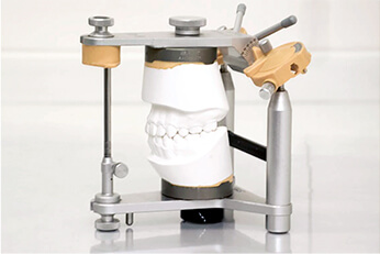 筋肉触診チェック